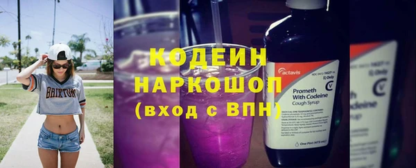дмт Арсеньев