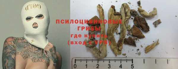 дмт Арсеньев