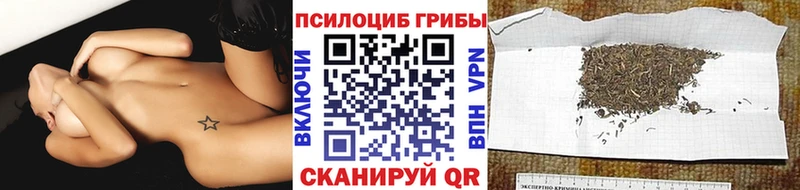 Галлюциногенные грибы мицелий Сертолово