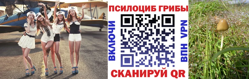 Галлюциногенные грибы GOLDEN TEACHER  Купить где  Сертолово 