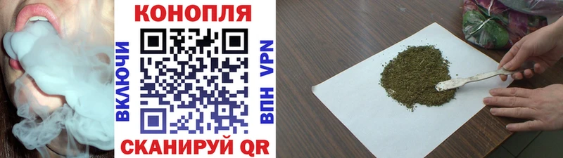 Купить  Сертолово  Канабис план 